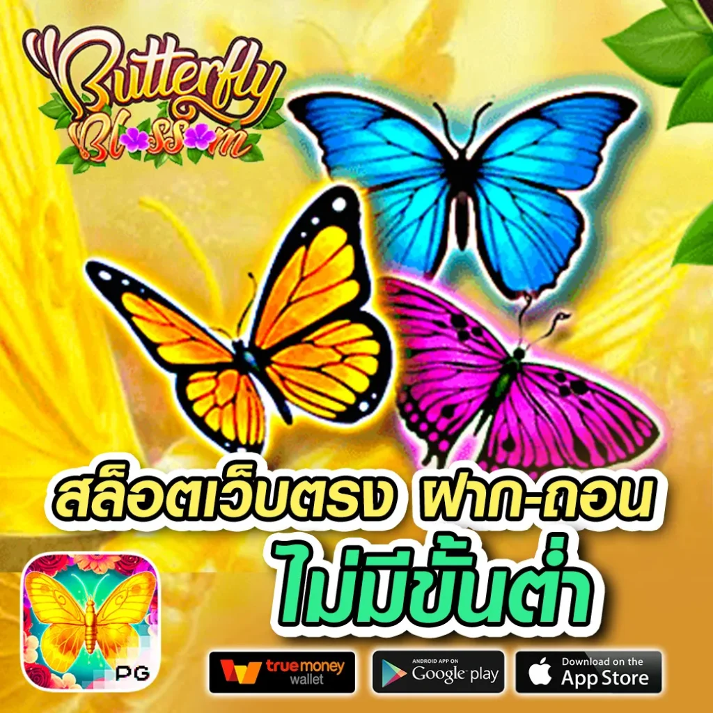 โบนัส one-classbet